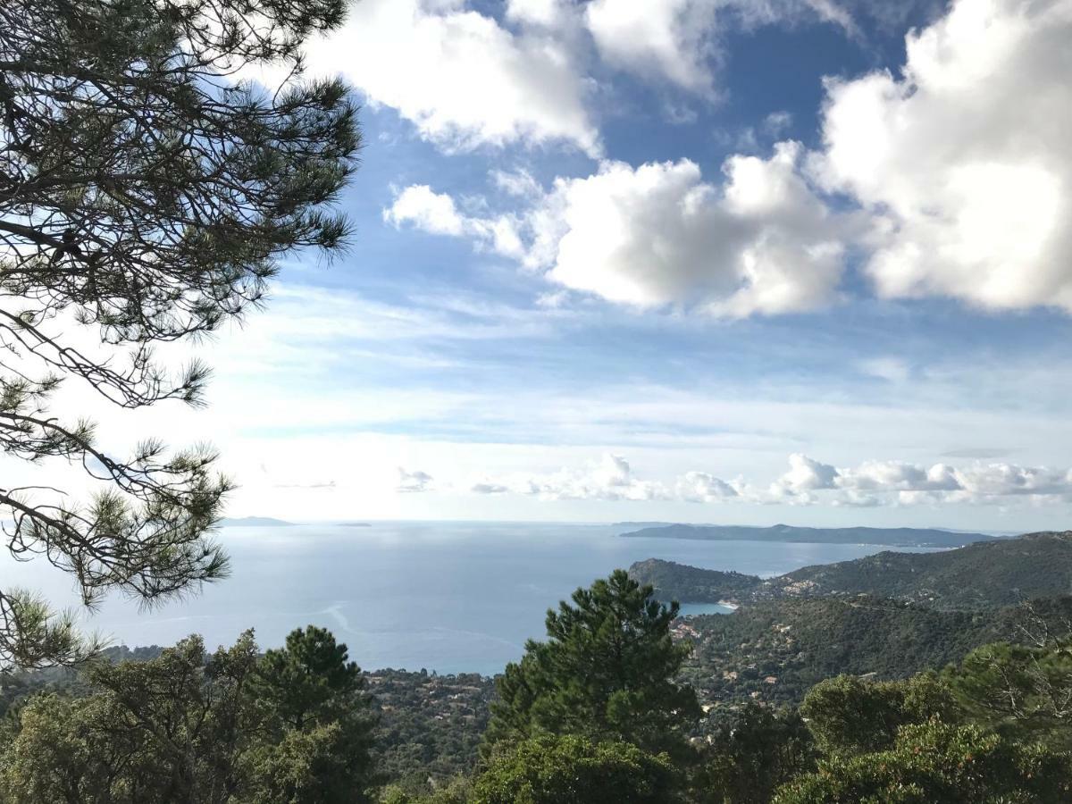 T2 Moderne Avec Jardin Apartment Rayol-Canadel-sur-Mer Exterior photo